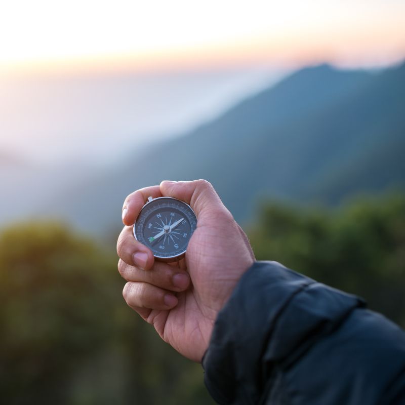 Viventis Orientierung