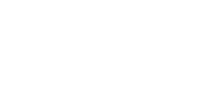 Viventis Logo